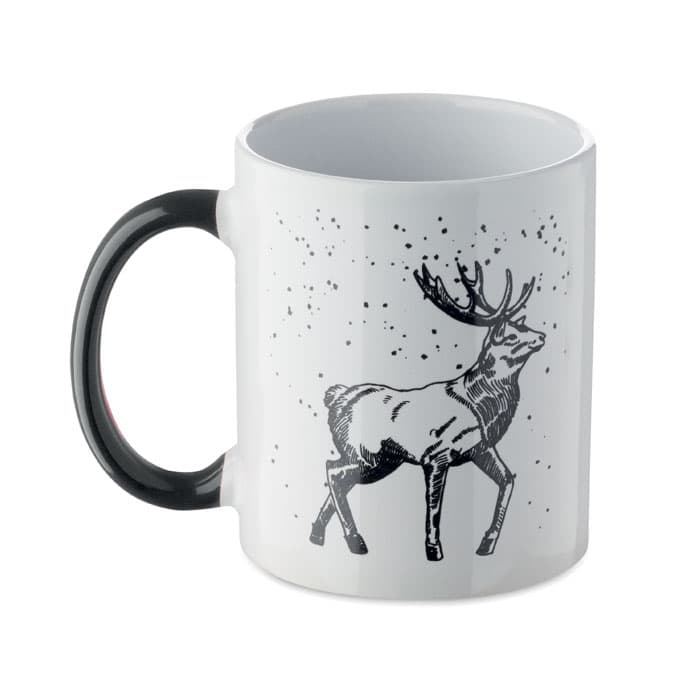 FESTIMUG